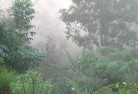 Good Forestbali-style-landscaping-4.jpg; ?>